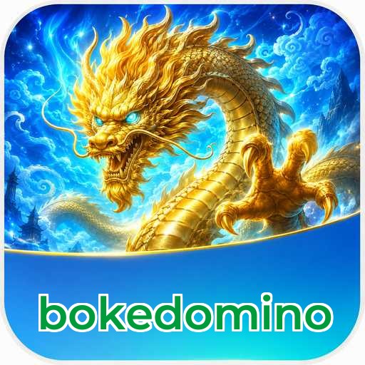 bokedomino APK Structure